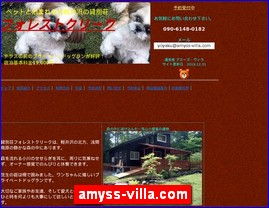 Hotels in Japan, amyss-villa.com