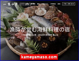 Hotels in Japan, kameyamaso.com